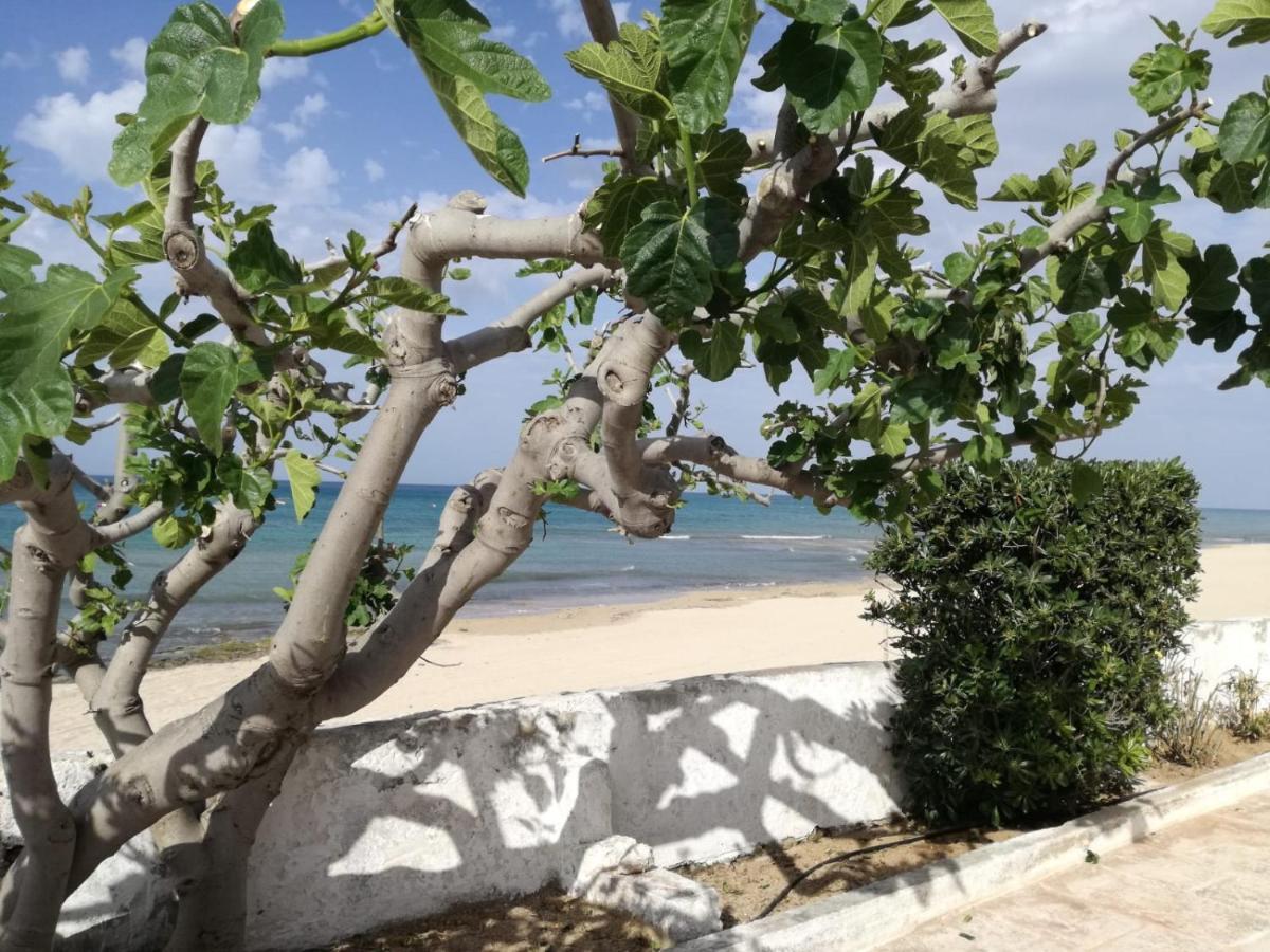 Apartmán Dimora Grazia In Riva Al Mare Monopoli Exteriér fotografie